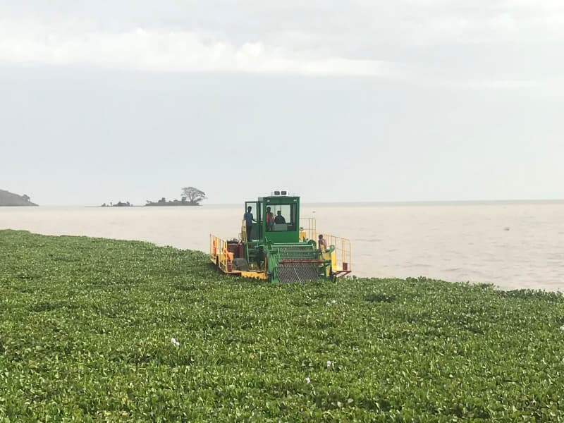 Automatisches Wasserreinigungsschiff / Wasserpflanzenernter / Müllabscheiderboot