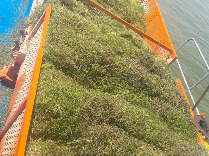 Automatisches Wasserreinigungsschiff / Wasserpflanzenernter / Müllabscheiderboot