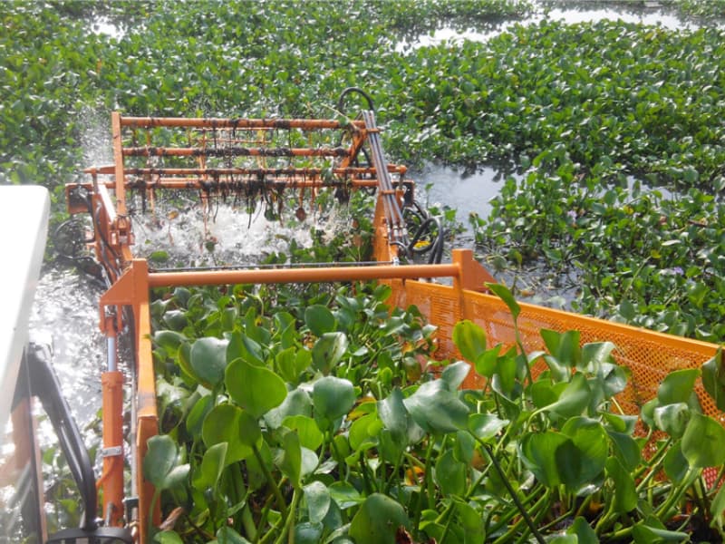 Automatisches Wasserreinigungsschiff / Wasserpflanzenernter / Müllabscheiderboot